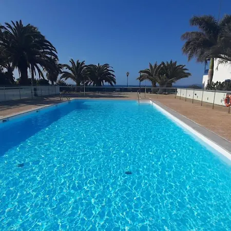 Suculenta 普拉亚布兰卡