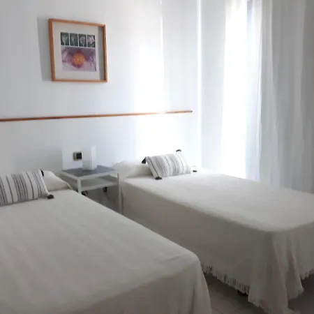 Suculenta * 普拉亚布兰卡